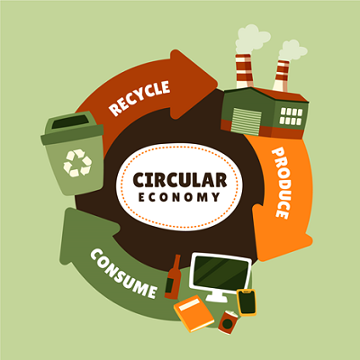 Top 7 Essential Insights: Circular Economy in Packaging for a Sustainable Future