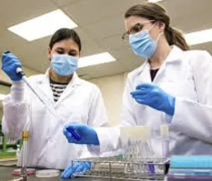Traceability and Food Safety