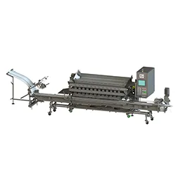 WFSP180