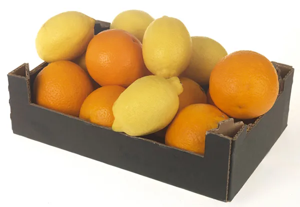 TRAYS