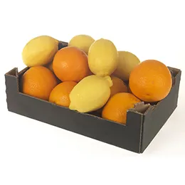 TRAYS