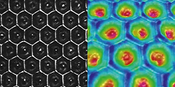 AH60 Hexagon