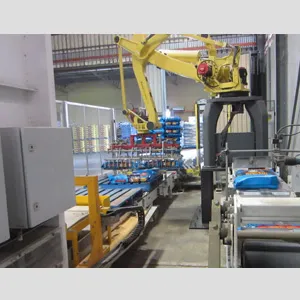 Fully Automated Bagging Lines