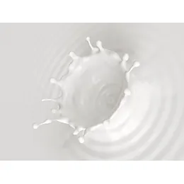 WATER-BASED ADHESIVES