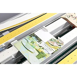 Feeding and Separation Systems