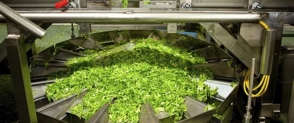 Food Packaging