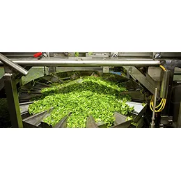 Food Packaging