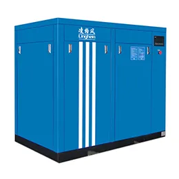 VSD screw compressor 22kw~110kw