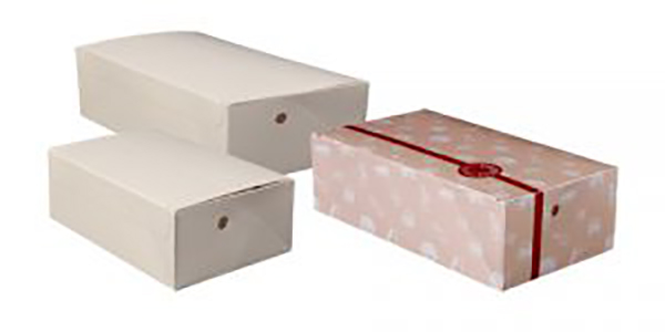 Takeout Boxes Glued Style with Folding Lid