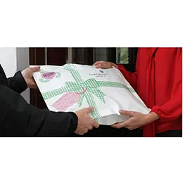 Automated Pouch Packaging
