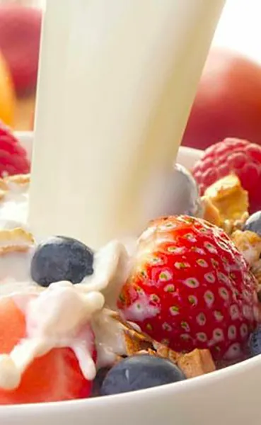 Dairy Packaging & Design