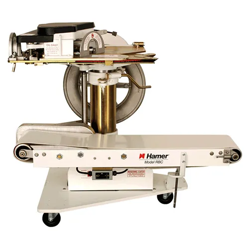 Hamer-Fischbein Model RBC