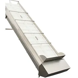 Ag-Pak Citrus Infeed Elevator
