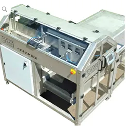 EMVE Casepacker CP 505