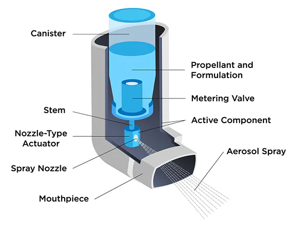 Drug Delivery Systems