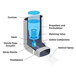 Drug Delivery Systems