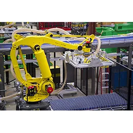 ROBOTIC BULK PALLETIZER DEPALLETIZER