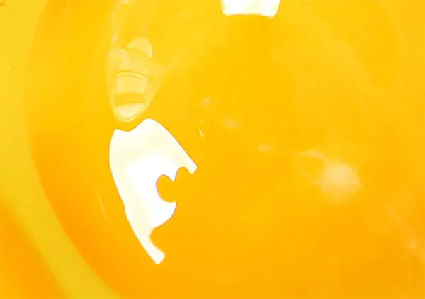 LIQUID EGGS