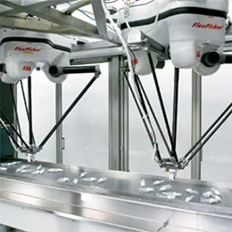 robotic high speed pick and place packaging
