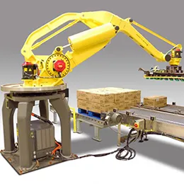 robotic palletizers-depalletizers