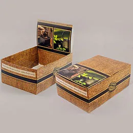 Custom Cosmetic POP Displays