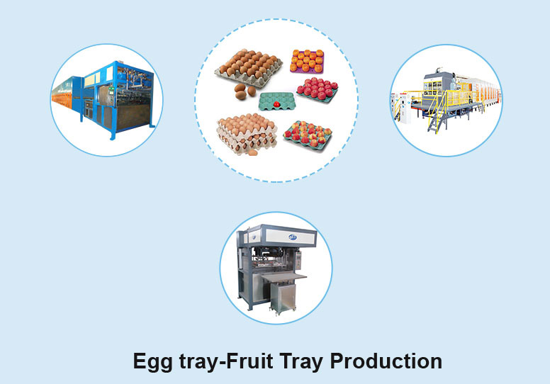 Egg tray Fruit Tray Production