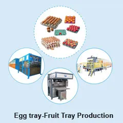 Egg tray Fruit Tray Production