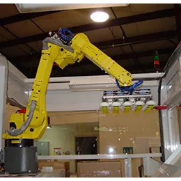 CUSTOM MANUFACTURING SYSTEM & MACHINE DESIGN