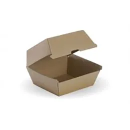 Burger bioboard box