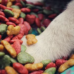 FLEXI PET FOOD