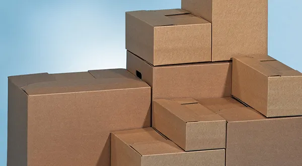 CORRUGATED CARDBOARD PACKAGING