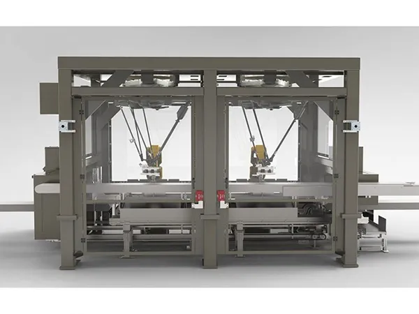 RC1000 Robotic Top Load Case Packer