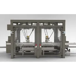 RC1000 Robotic Top Load Case Packer