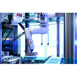 Advanced Robotic Solutions