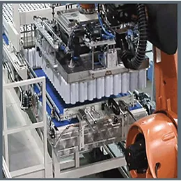 Robotic Bulk Palletizer