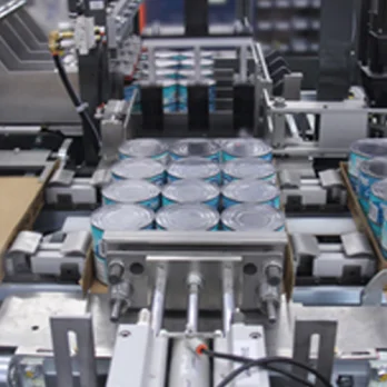 Cartoning & Case Packing Equipment