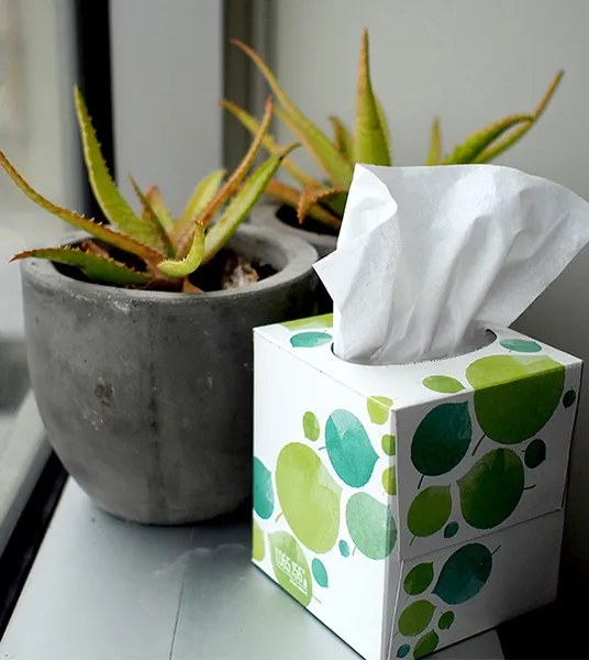 FOLDING CARTON