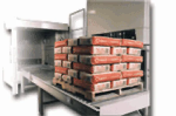 Conventional Bag Palletizer
