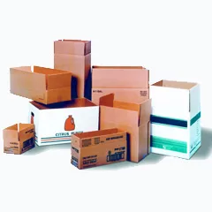 Automatic Case Erectors