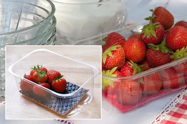 Antibacterial-microbial absorbent fruit pads