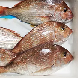 Seafood pads for shelf life extension