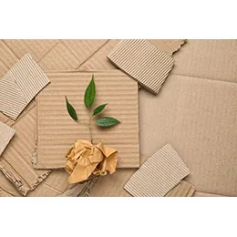 AroFol Eco Mailing Bags