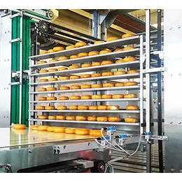 FIFO Buffer ICB