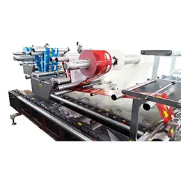 Horizontal Flow Wrapping Machine M240