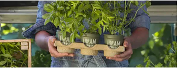 HORTICULTURE