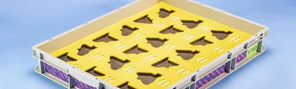 Foam insert