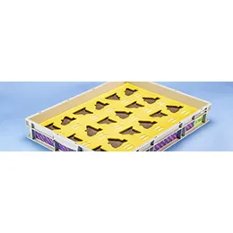 Foam insert