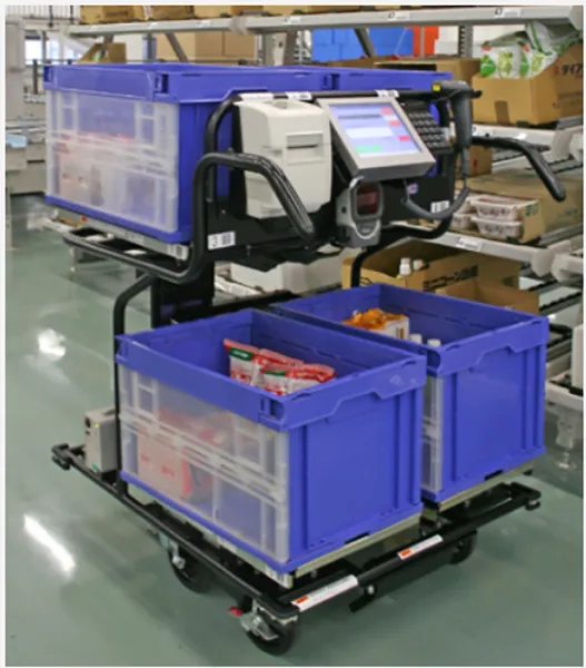 Picking Cart System