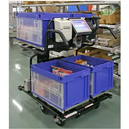 Picking Cart System