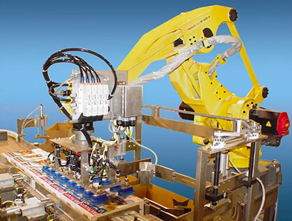 Robotic Case Packers